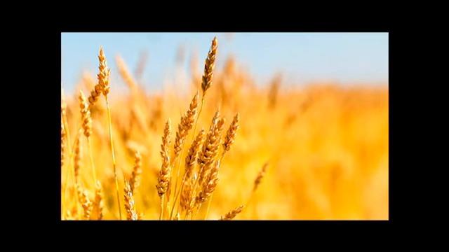 арія Остапа смотреть онлайн