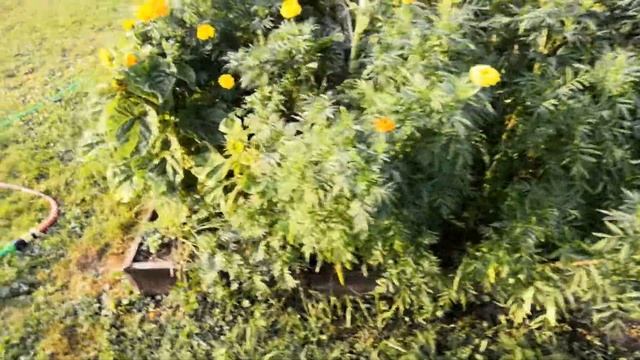 Что на даче мы делали своими руками. смотреть онлайн