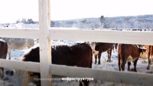 АО «Совхоз Южно-Сахалинский»
