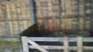 Размеры и принцип действия: кошары, навеса и база