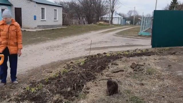 ДЕЛАЕМ ЗАБОР/УБИРАЕМ УЧАСТОК/ЖИЗНЬ В ДЕРЕВНЕ смотреть онлайн