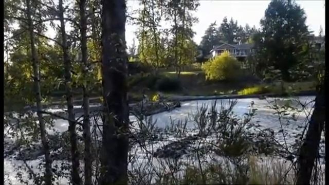 Жизнеутверждающее смотреть онлайн