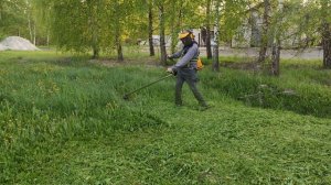 Бензокоса 2.1кВт причёсывает одуваны / Grasstrimmer Alpina Star 55DP Italy ??