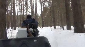 Движок для мотособаки,сколько-же надо лошадок?