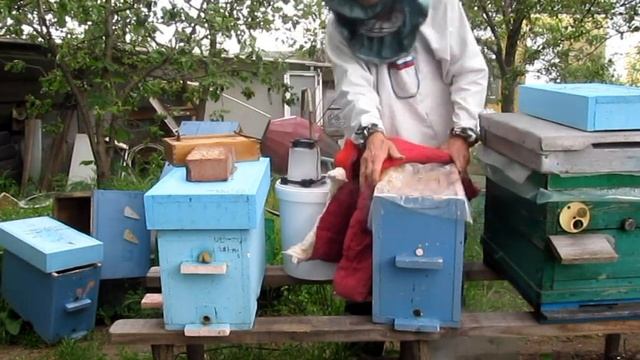 Варроатоз. Холодный пар. Обработка пчел щавелевой кислотой. Устройство парогенератора. смотреть онлайн