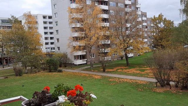 🔴Иногда планы меняются 🔴 Ночью вернулась домой🔴 У нас осенью ВЕСНА...на улице +20 🔴 смотреть онлайн