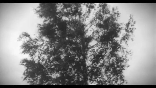 Капитан Прайс учит стрелять с РПГ -7 | Squad Гайд смотреть онлайн