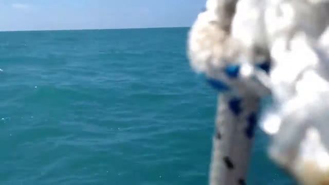 Яхта. Из Будвы в сторону Тивпта смотреть онлайн