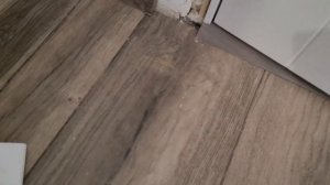 ... а вот что ВЫБРАЛ заказчик! Перепад пола в 2см, как сделать плинтус? Ошибки ремонта