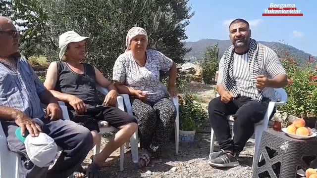 ZEYTİN TANE DÖKÜLMELERİ. Zeytinde tane neden dökülür?.ZEYTİN SİNEĞİ, ZEYTİN YAPRAK TIRTILI. смотреть онлайн
