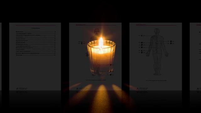 Купить книгу. Электропунктура Практическое руководство смотреть онлайн