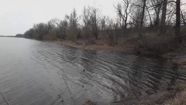 Ротан-головешка . Ротан на поплавочную удочку . смотреть онлайн