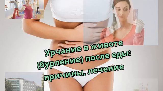 Урчание в животе (бурление) после еды: причины, лечение смотреть онлайн