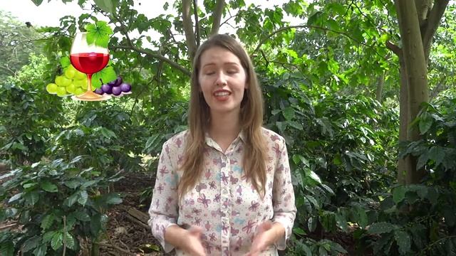 ДОМИНИКАНА: Отдых в ДОМИНИКАНЕ на пути в КОСТА РИКУ / Пунта Кана - Санто Доминго смотреть онлайн