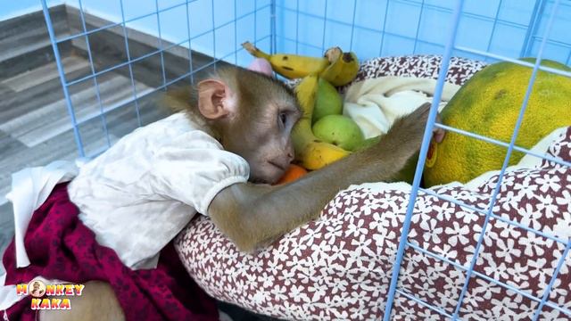 Kaka's Sneaky Food Stash: A Funny Surprise in Her House смотреть онлайн