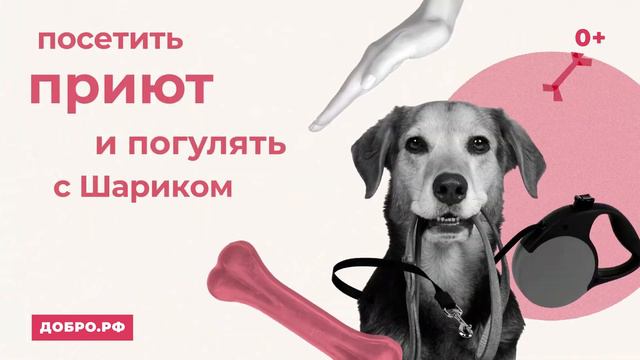 Делать добро проще, чем кажется (1). Добро.рф смотреть онлайн