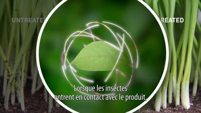 Karate Zeon FR смотреть онлайн