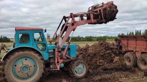 Грузим навоз трактором Т-40, МТЗ-82, РОУ-6.