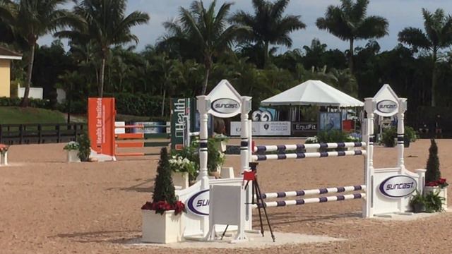 Winslow High & Oliver Lazarus - 1st 1.40m Speed Challenge WEF 3 смотреть онлайн