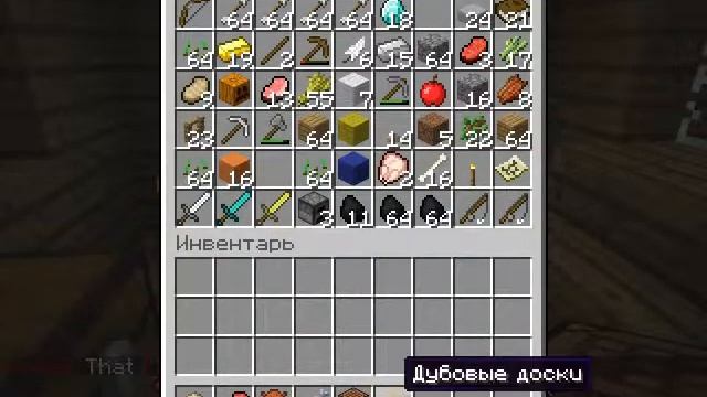 Играем в Minecraft с Mario (часть 1)