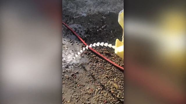 25 Невероятных Моментов, Снятых на Камеру! смотреть онлайн