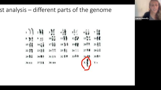 Webinar - Unraveling the Evolutionary History of Wolves in South and Central Asia смотреть онлайн
