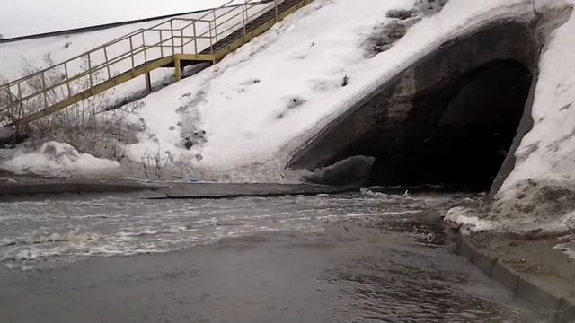 Бийск. Голубой Дунай 2014 смотреть онлайн