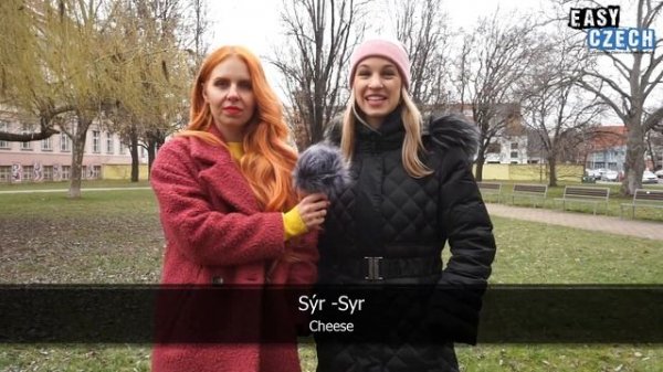 Differences Between Czech and Slovak | Easy Czech 25