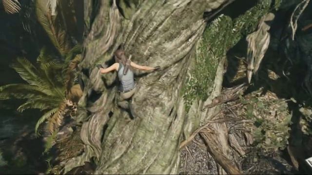 Shadow of the Tomb Raider прохождение #2 Крушение Самолёта и Схватка с Рысями смотреть онлайн