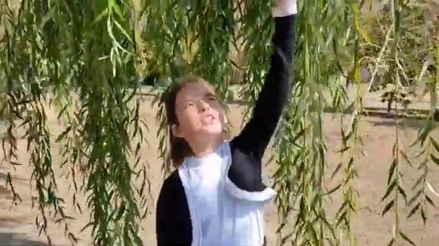 Стихи о Родине. смотреть онлайн
