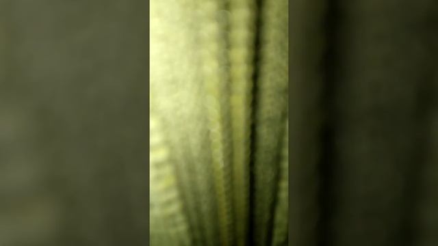 Робот с. Видео камерой под диваном смотреть онлайн