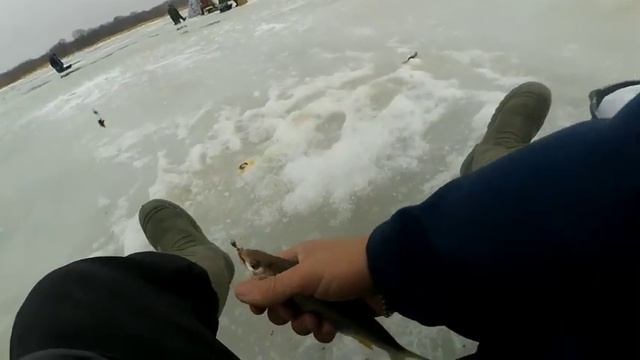 ЗИМНЯЯ РЫБАЛКА 2021. ЦИМЛЯНСКОЕ ВОДОХРАНИЛИЩЕ. ЛОВЛЯ ТАРАНИ И НЕ ТОЛЬКО смотреть онлайн