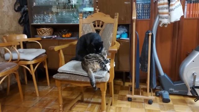 Я тебя не знаю но всё равно помою ! смотреть онлайн