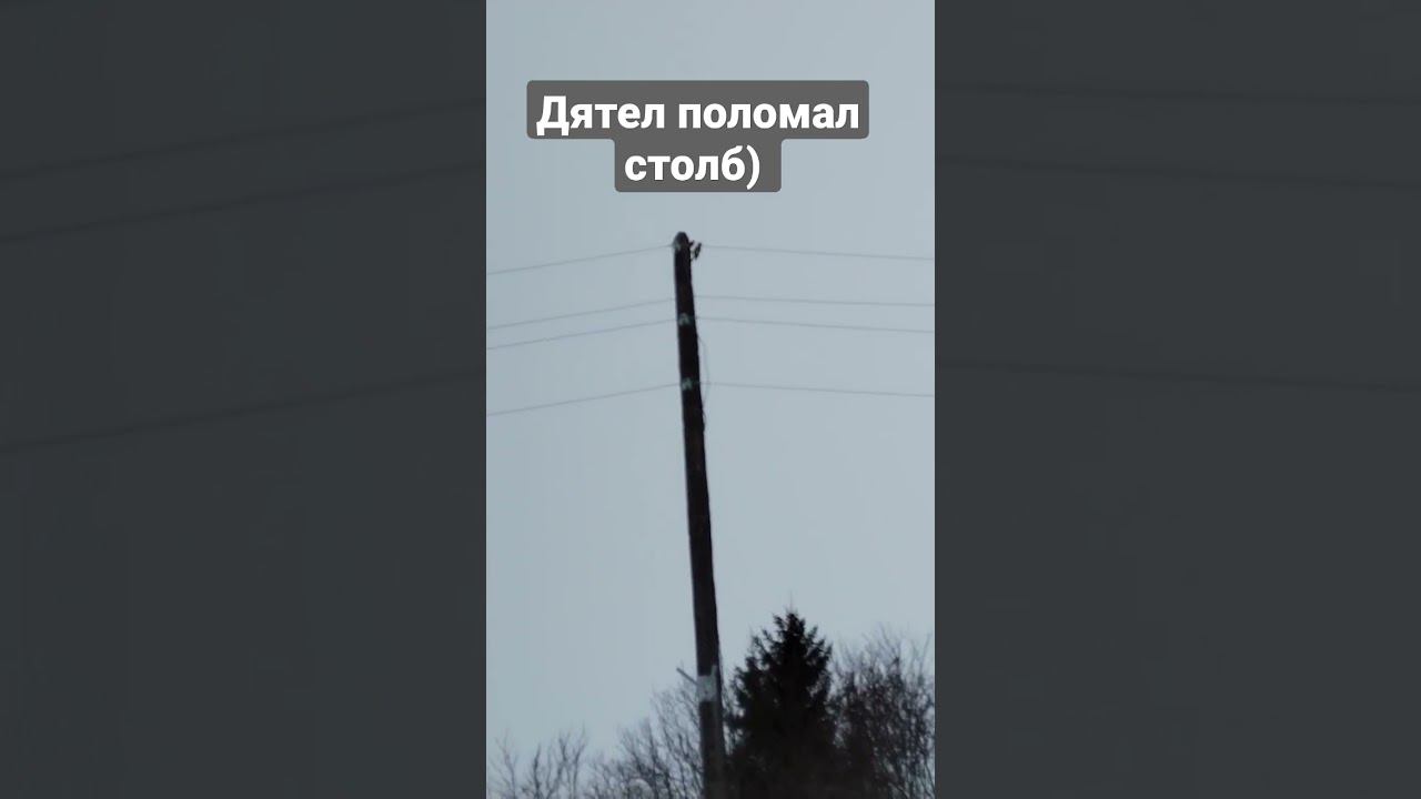 полная версия #shorts #jesonplay смотреть онлайн