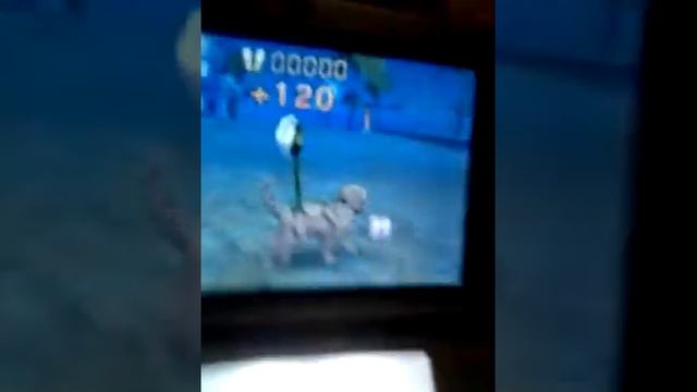 How to earn trainer points on Nintendogs + cats смотреть онлайн