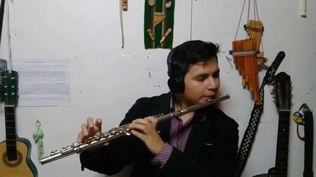 Te Amo - Umberto Tozzi - Luis Angel - Flauta Traversa смотреть онлайн