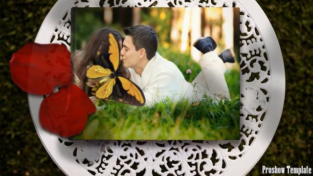 Проект Бабочки