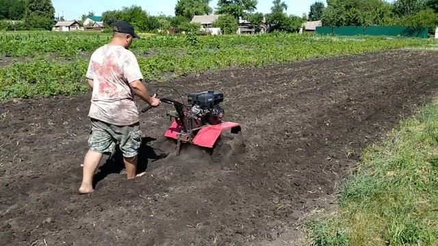 Копаю ЧЕСНОК МОТОБЛОКОМ! смотреть онлайн