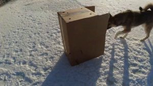 Пристрелка Оптики SKW на карабине ВЕПРЬ 308 WIn