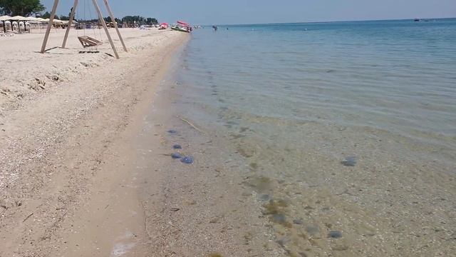 Лазурное /Медузы/Божьи коровки /Каракурты/Дожди /Море /Отдых удался смотреть онлайн