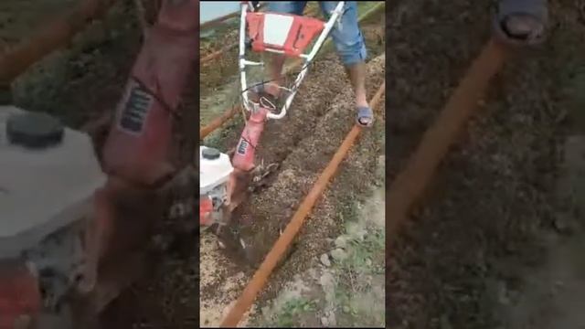 Культивируем Теплицу смотреть онлайн
