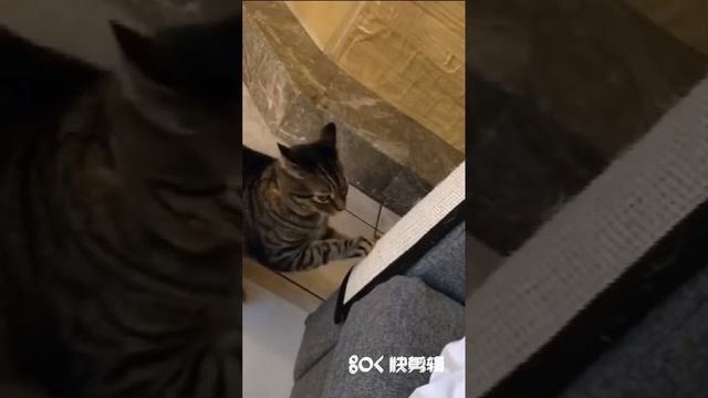 Защитный коврик для мебели смотреть онлайн