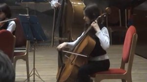 Оркестр Анима (Ллойд Вебер мюзикл «Кошки» Память)
