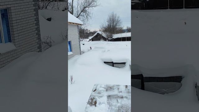 Что случилось на участке, пока меня не было? смотреть онлайн
