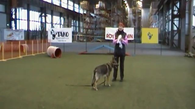 Прайд (начало обучения движению рядом 1) смотреть онлайн