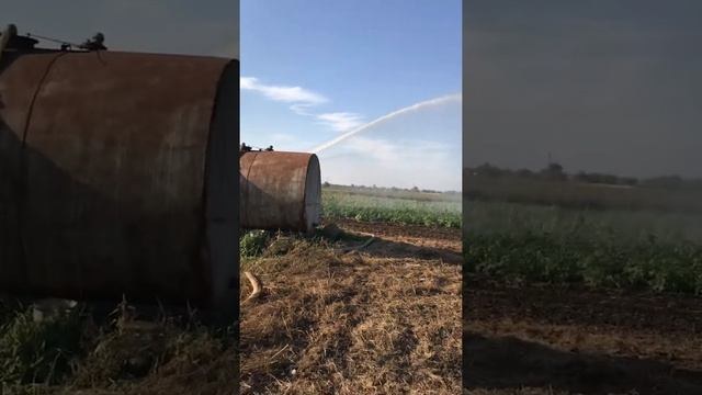 Спринклер Mariner (Маринер) смотреть онлайн