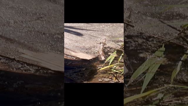 улов смотреть онлайн