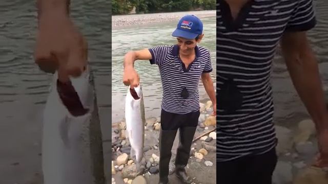 ШОК!!! рыба лось-форель))) смотреть онлайн