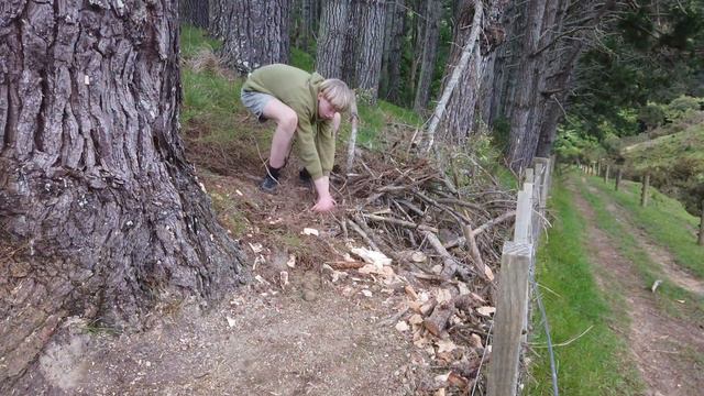 Tui trails build is finally underway смотреть онлайн