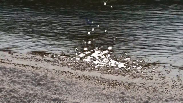 МОРЯ ГЕРЫ смотреть онлайн